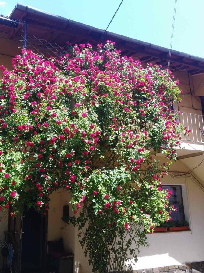 Apartment In The Historical City Center تشيرنيفتسي المظهر الخارجي الصورة